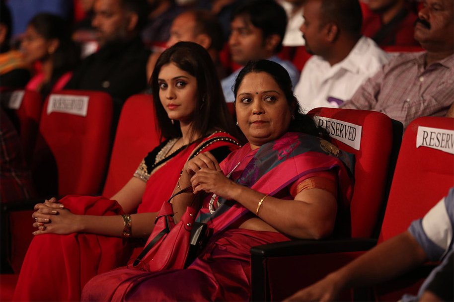 Express-Raja-Audio-Launch